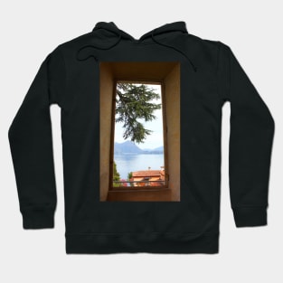 A Pine Branch over the Red roof through the Window 2011 Hoodie